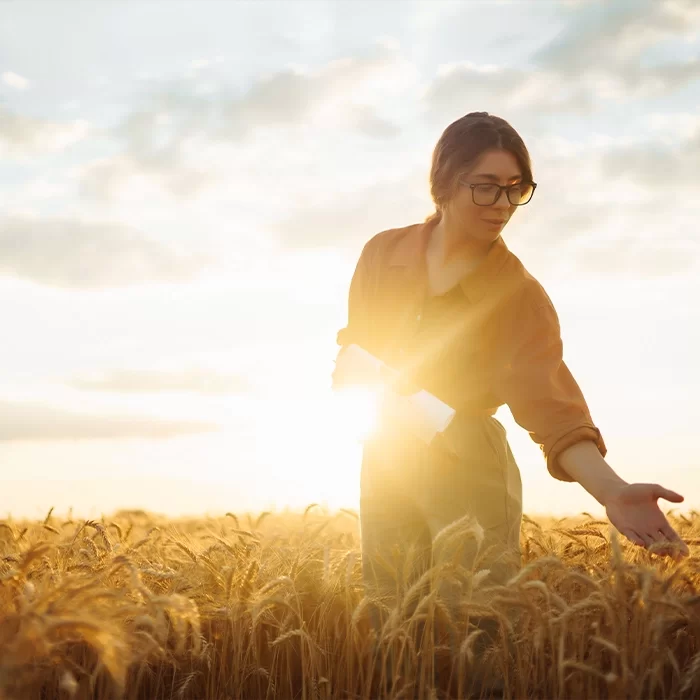 Accompagnement sur mesure